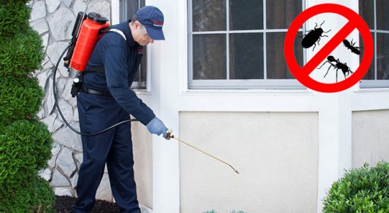 Gelendost Kene İlaçlama böcek ilaçlama ve haşere kontrolü — ilaclama-tr.com